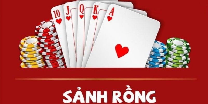 Long Trường Mẫu Bình: Chiến Lược Sử Dụng Long Trường Hiệu Quả